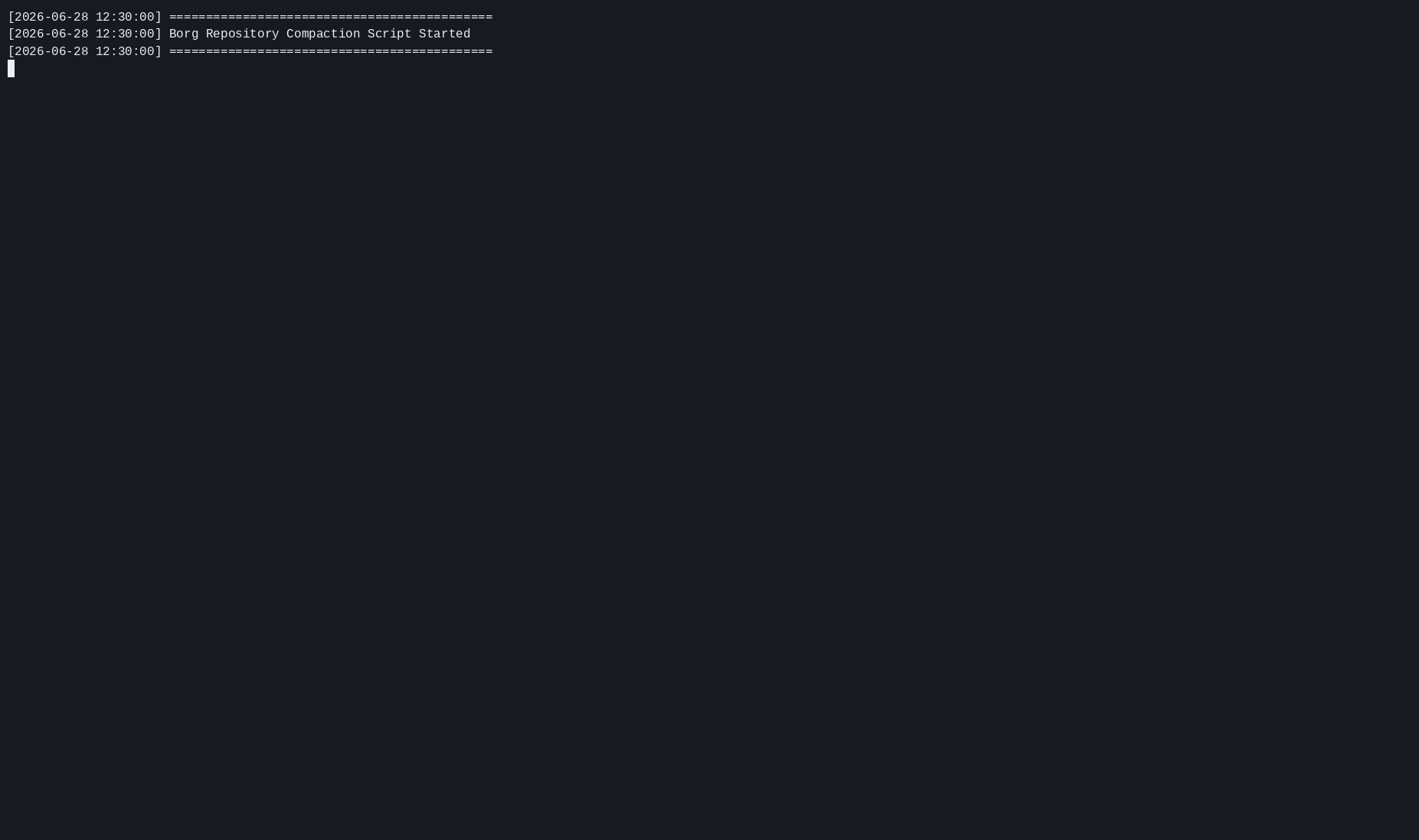 borg-compact script running in a terminal